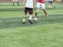 天津女排荣,获超级联赛,冠军,乐鱼体育平台,乐鱼体育官方网站,乐鱼体育登录入口,乐鱼体育app下载