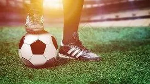 伊万执教国足历程：短暂甜蜜后遭球迷声讨，离任中国孤身一人