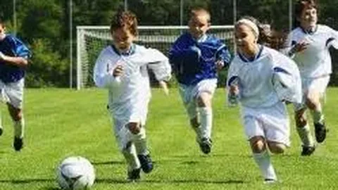 乐鱼体育 产品 104253 se4