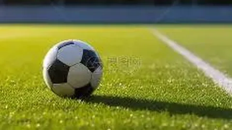 乐鱼体育 产品 094041 7l5