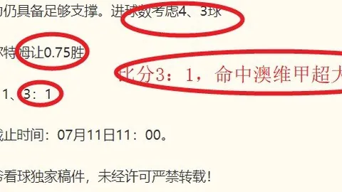 乐鱼体育，乐鱼体育平台， 114916